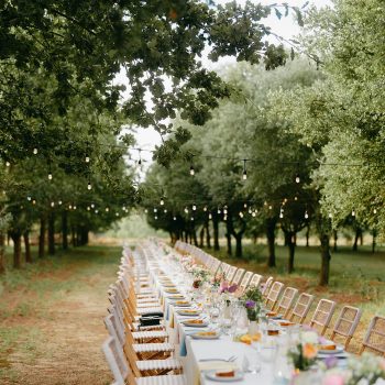 Outdoor wedding reception dinner tables arranged beautifully under a canopy of lush green trees.